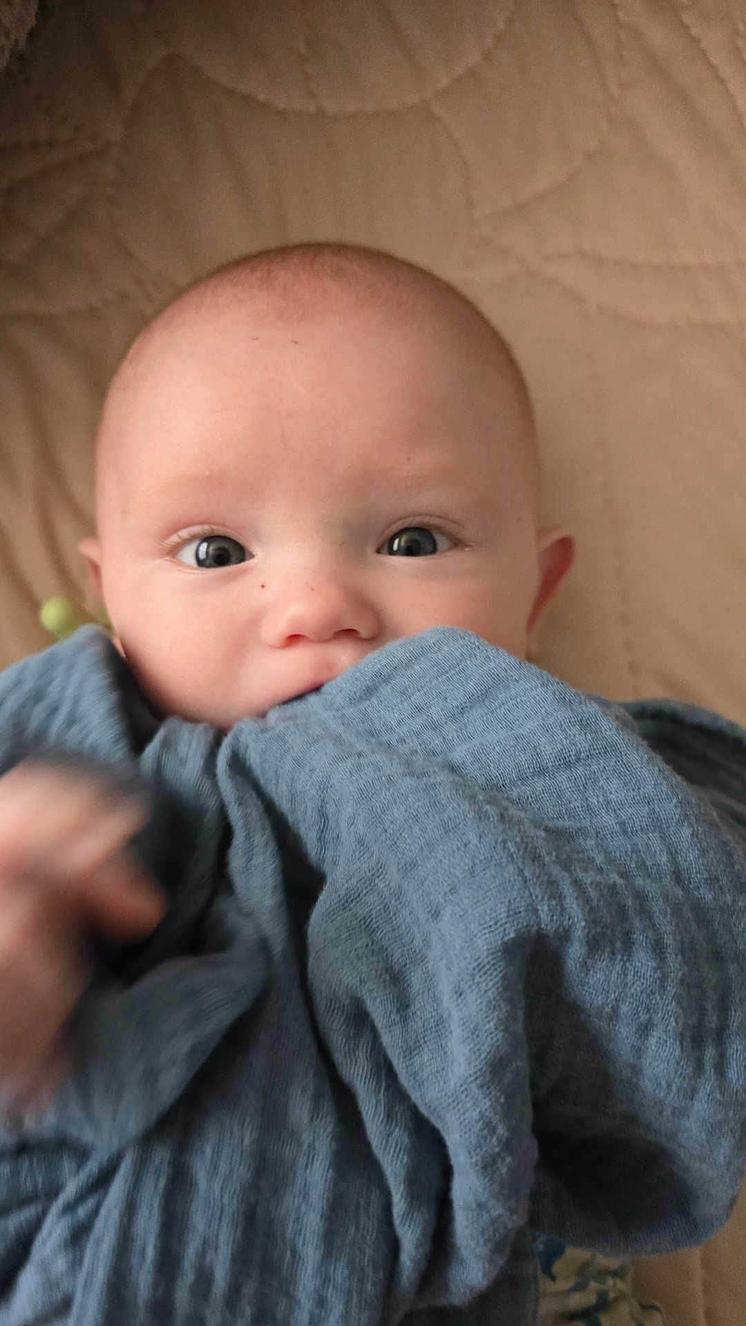 Arkin is registered to the contest to win money with this photo: baby, infant, face, eyes, blanket, blue, soft, cute, young, child, portrait, closeup, skin, head, expression, comfort, warm, indoors, person, newborn