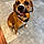 Tyson