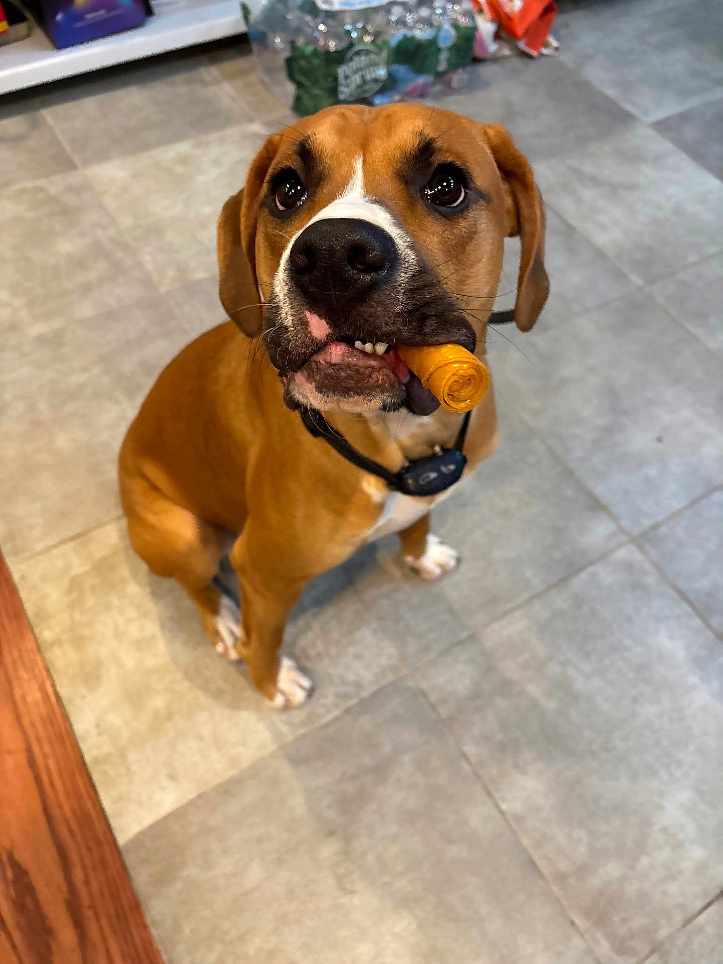 Tyson