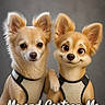 dog, chihuahua, pet, animal, cartoon, animated, realistic, harness, brown, cute, portrait, two_animals, studio, grey_background, comparison, digital_art, text_overlay, funny, expression, matching_outfits