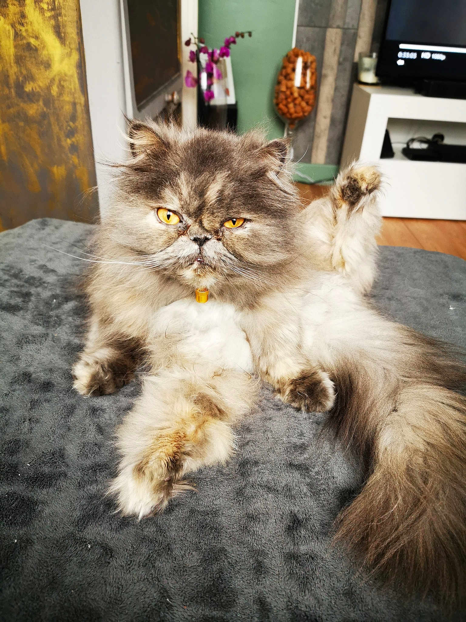 Leeloo