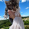 kitten, cat, animal, pet, hand, sweater, sky, clouds, outdoor, nature, greenery, landscape, cute, fur, whiskers, paw, portrait, daylight, blue_sky, holding