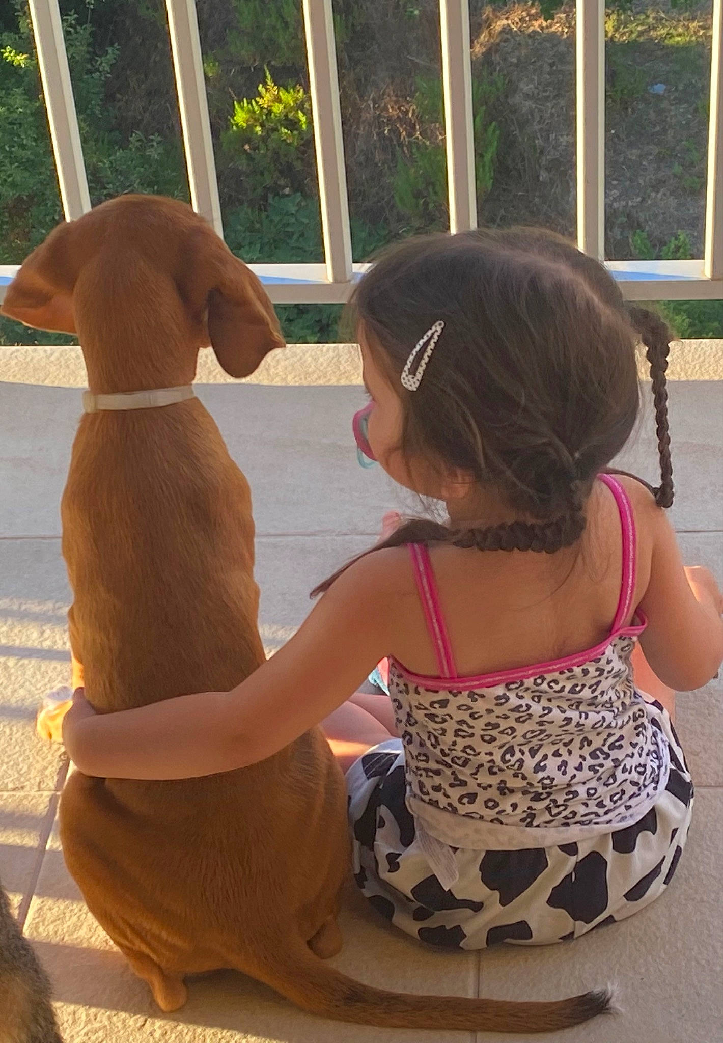 Luna a rejoint le concours — aidez-le/la à gagner de superbes lots ! carnivore, chair, child, companion_dog, dog, dog_breed, human_leg, leisure, liver, mammal, pattern, plant, sculpture, sitting, sporting_group, toddler, vertebrate, window, wood, working_animal