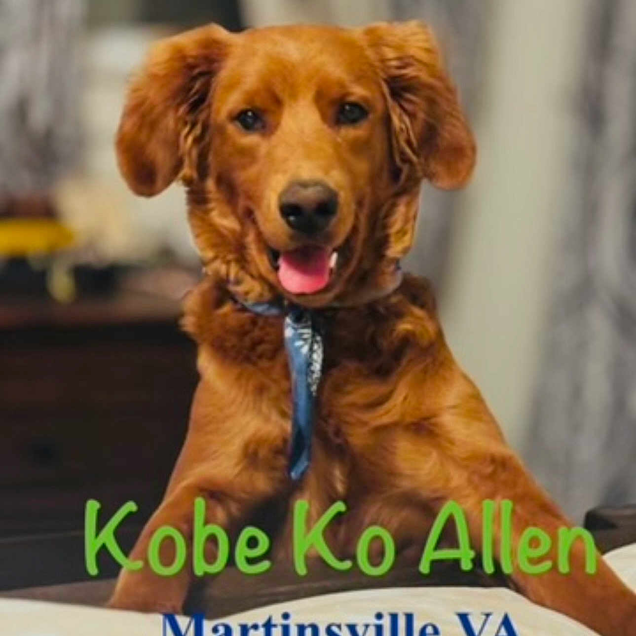Kobe Ko Allen