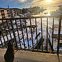 Mr. Marvin joined the competition — help win amazing prizes! animal, balcony, boats, building, cat, clouds, dock, evening, marina, nature, outdoor, peaceful, pet, quiet, railing, reflection, sky, sunset, tabby_cat, water