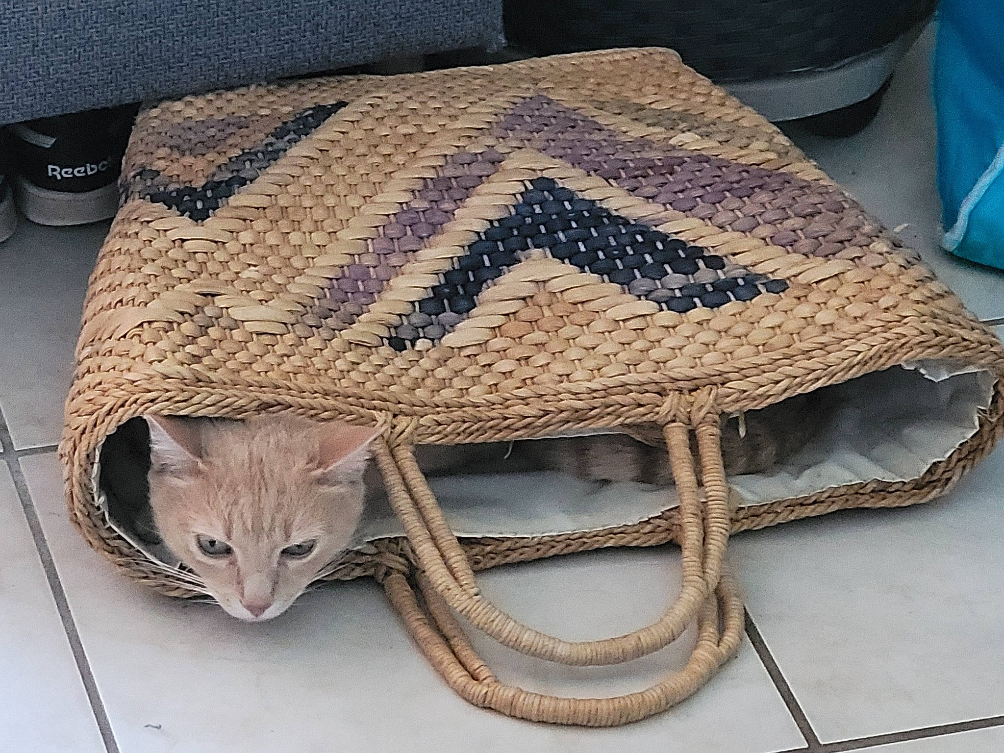 Flocon a rejoint le concours — aidez-le/la à gagner de superbes lots ! bag, blue, cat, chair, comfort, fashion_accessory, felidae, flooring, hat, linens, pattern, rectangle, tail, thread, whiskers, wicker, wood, wool, woolen, woven_fabric