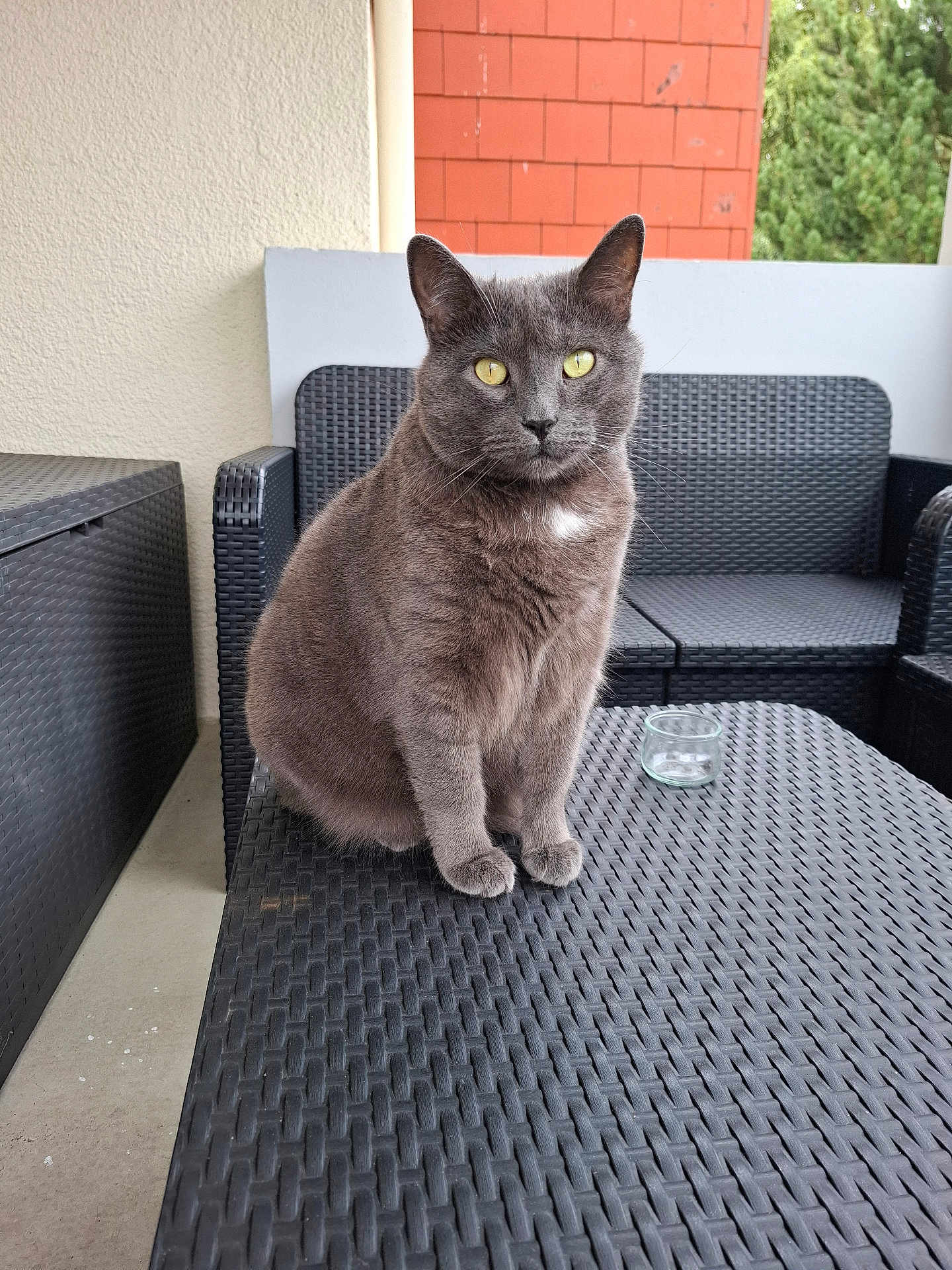 Jack