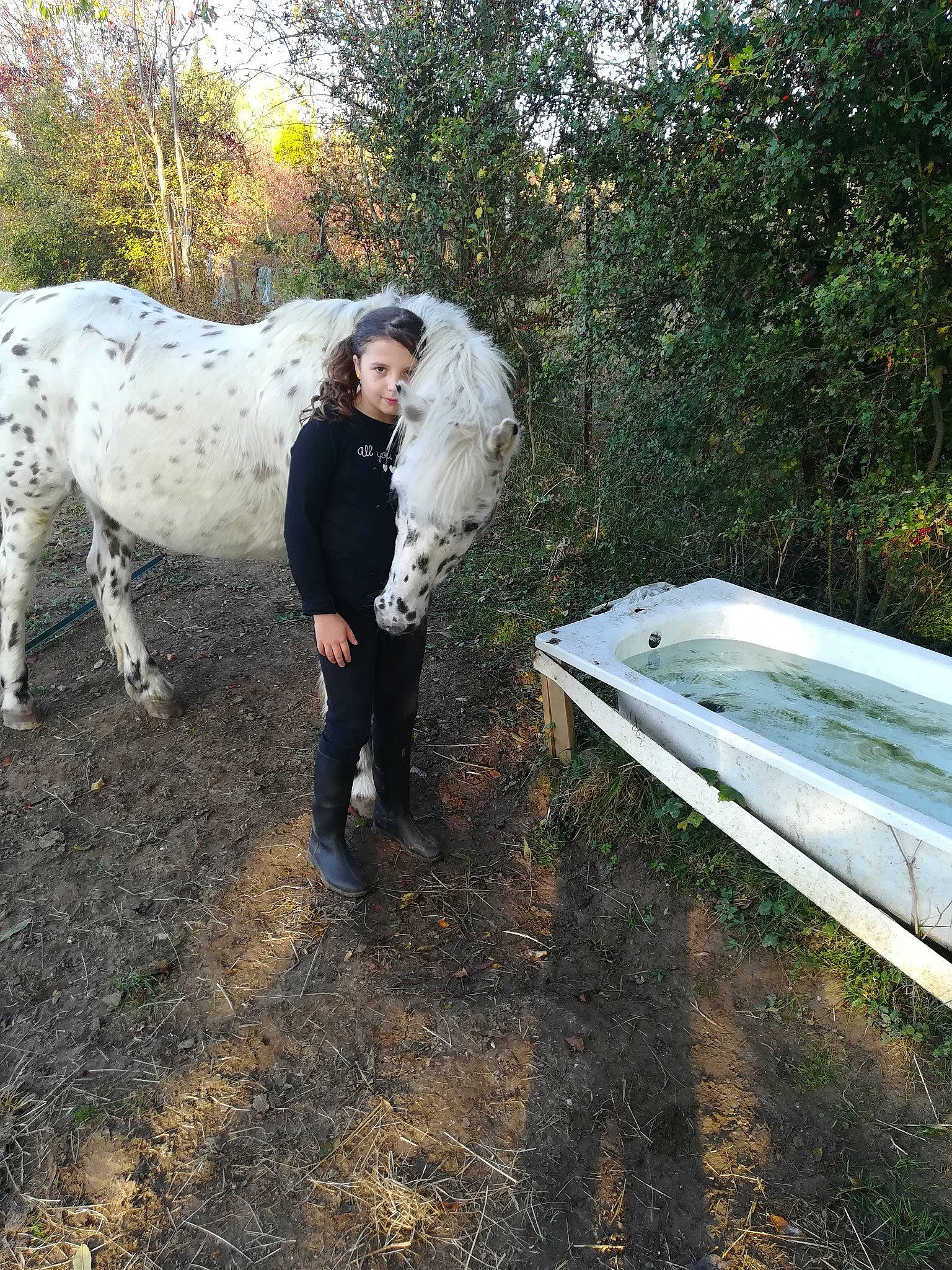 Lana a rejoint le concours — aidez-le/la à gagner de superbes lots ! fun, girl, grass, horse, horse_like_mammal, livestock, person, plant, stallion, tree