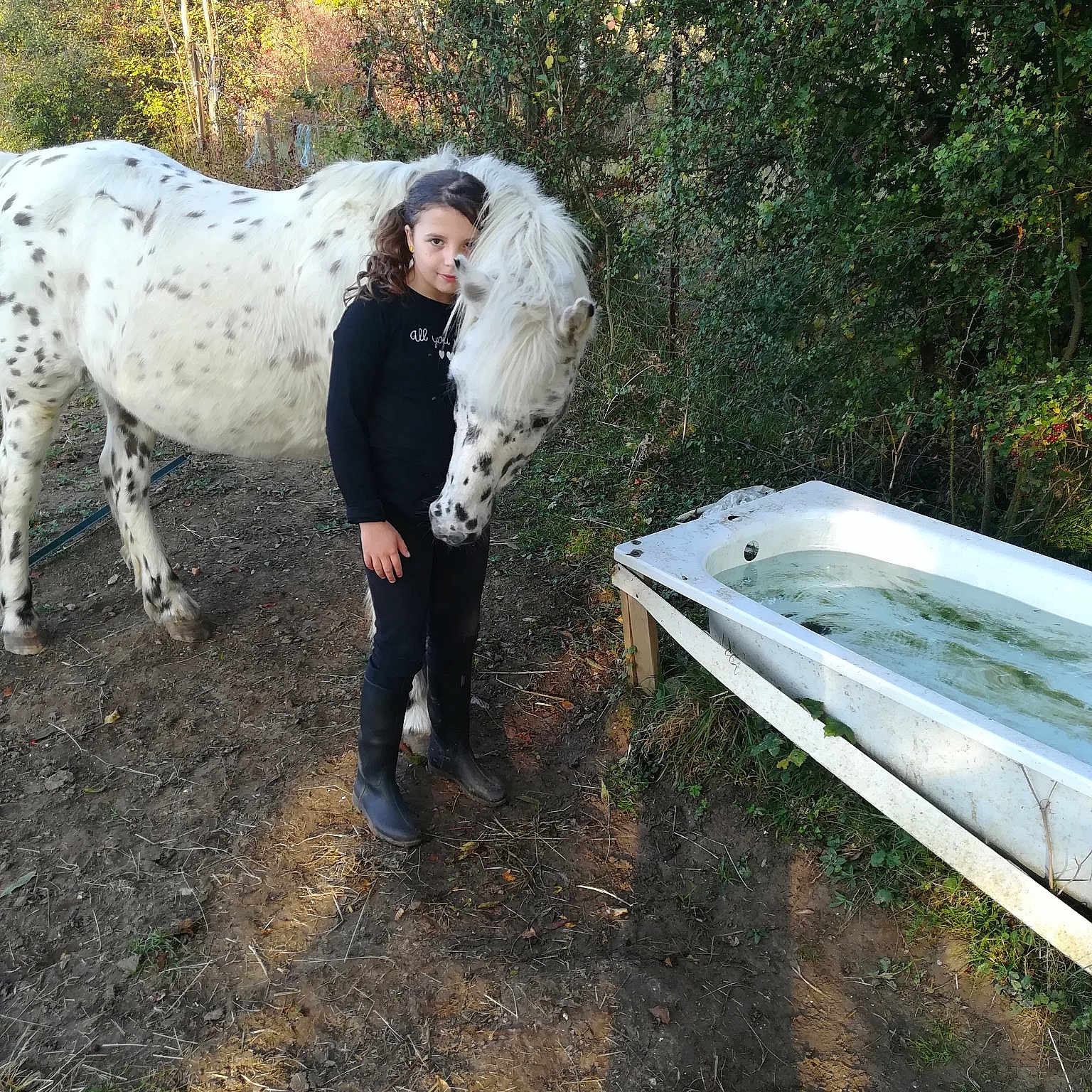 Lana a rejoint le concours — aidez-le/la à gagner de superbes lots ! fun, girl, grass, horse, horse_like_mammal, livestock, person, plant, stallion, tree