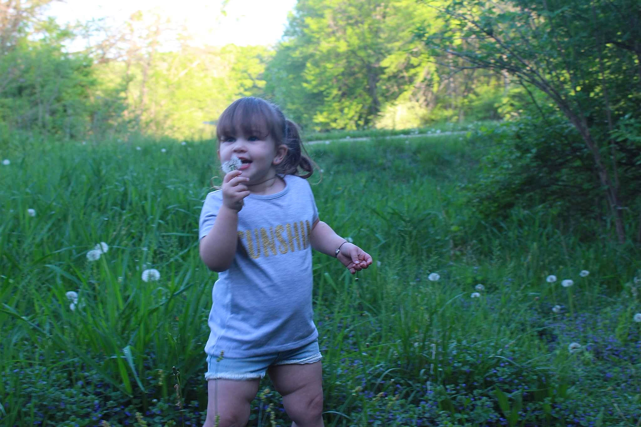 Payton is registered to the contest to win money with this photo: flower, forest, grass, grass_family, grassland, groundcover, happy, landscape, lawn, meadow, natural_landscape, people_in_nature, person, plant, prairie, shorts, shrub, sunlight, terrestrial_plant, toddler