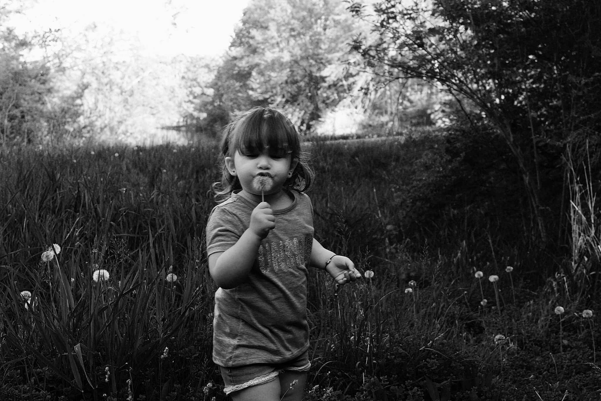 Payton is registered to the contest to win money with this photo: black_and_white, flash_photography, flower, forest, gesture, grass, grassland, hand, happy, landscape, meadow, monochrome, monochrome_photography, natural_landscape, people_in_nature, person, plant, standing, style, toddler