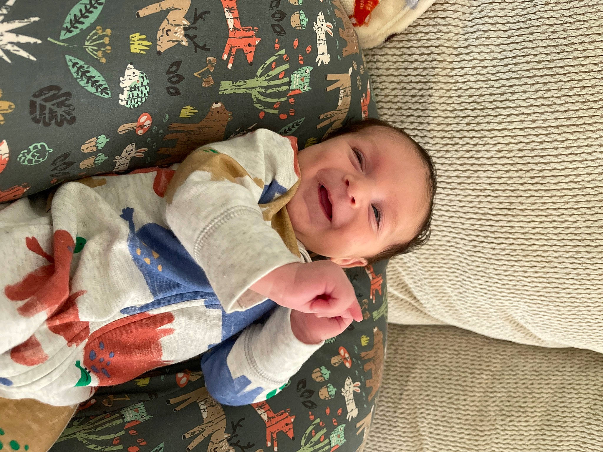 Hollis joined the competition — help win amazing prizes! baby, baby_products, baby_toddler_clothing, carmine, child, comfort, eye, face, flooring, happy, linens, pattern, person, room, sitting, sleeve, smile, textile, toddler, tree
