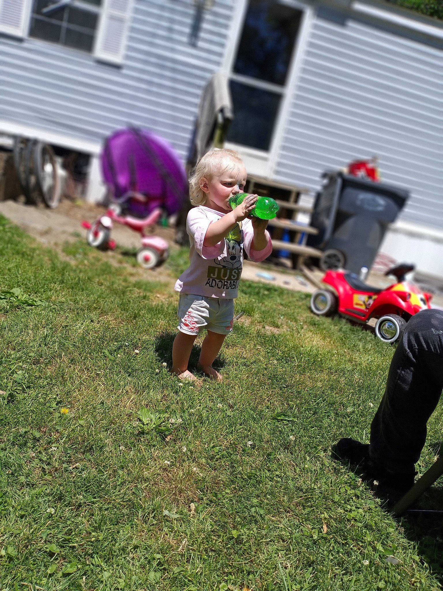 Paisleigh joined the competition — help win amazing prizes! backyard, child, garden, grass, home, lawn, leaf, person, plant, play, toddler, tree, vehicle, yard