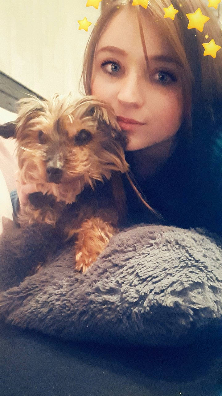 Frisquette a rejoint le concours — aidez-le/la à gagner de superbes lots ! blond, brown_hair, carnivore, companion_dog, dog, dog_breed, eye, fawn, hair, hairstyle, happy, liver, long_hair, small_terrier, snout, surfer_hair, terrier, toy_dog, working_animal, yorkshire_terrier