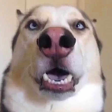 Woody is registered to the contest to win money with this photo: