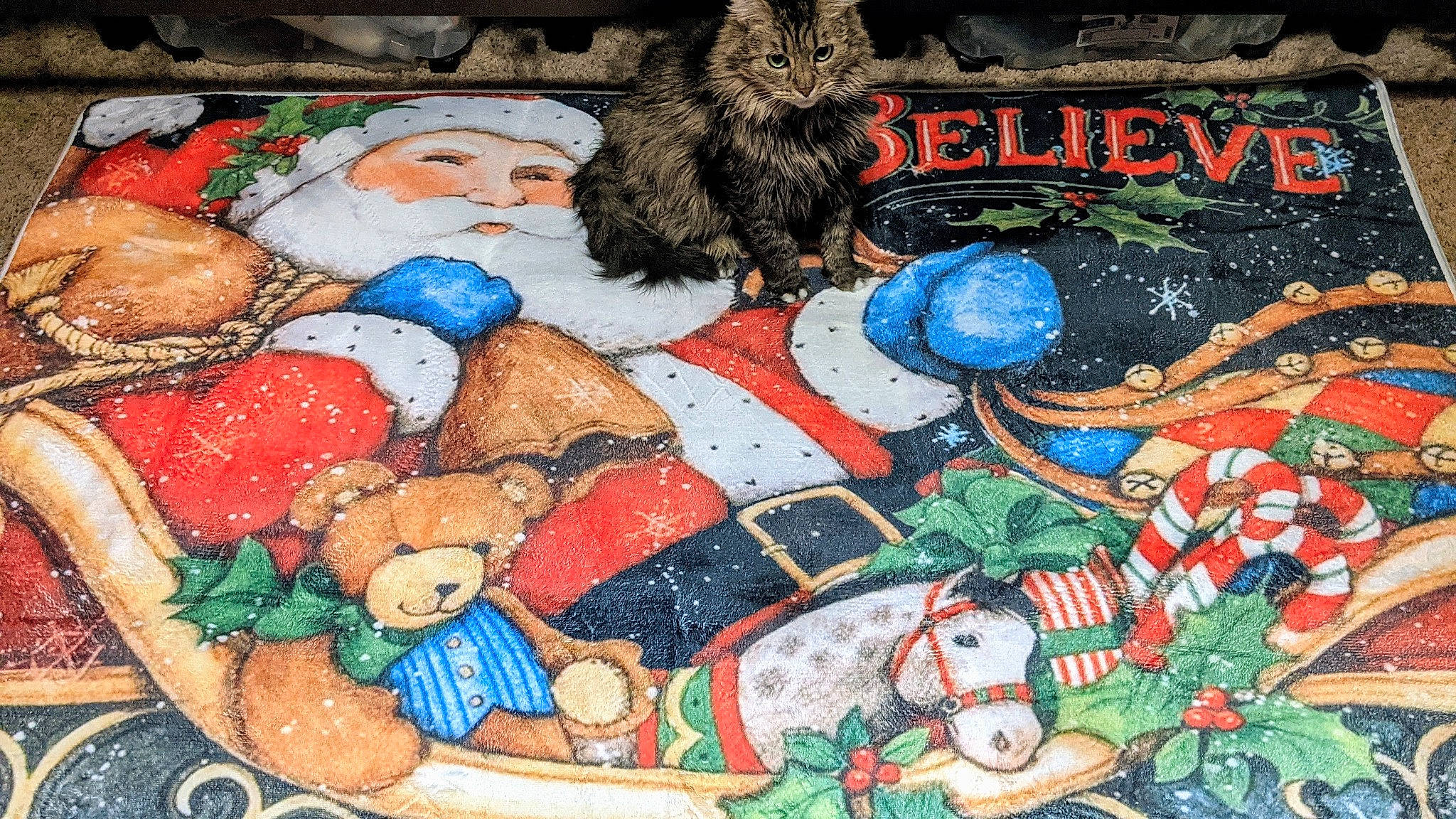 Spicy joined the competition — help win amazing prizes! christmas, christmas_eve, fictional_character, holiday, santa_claus