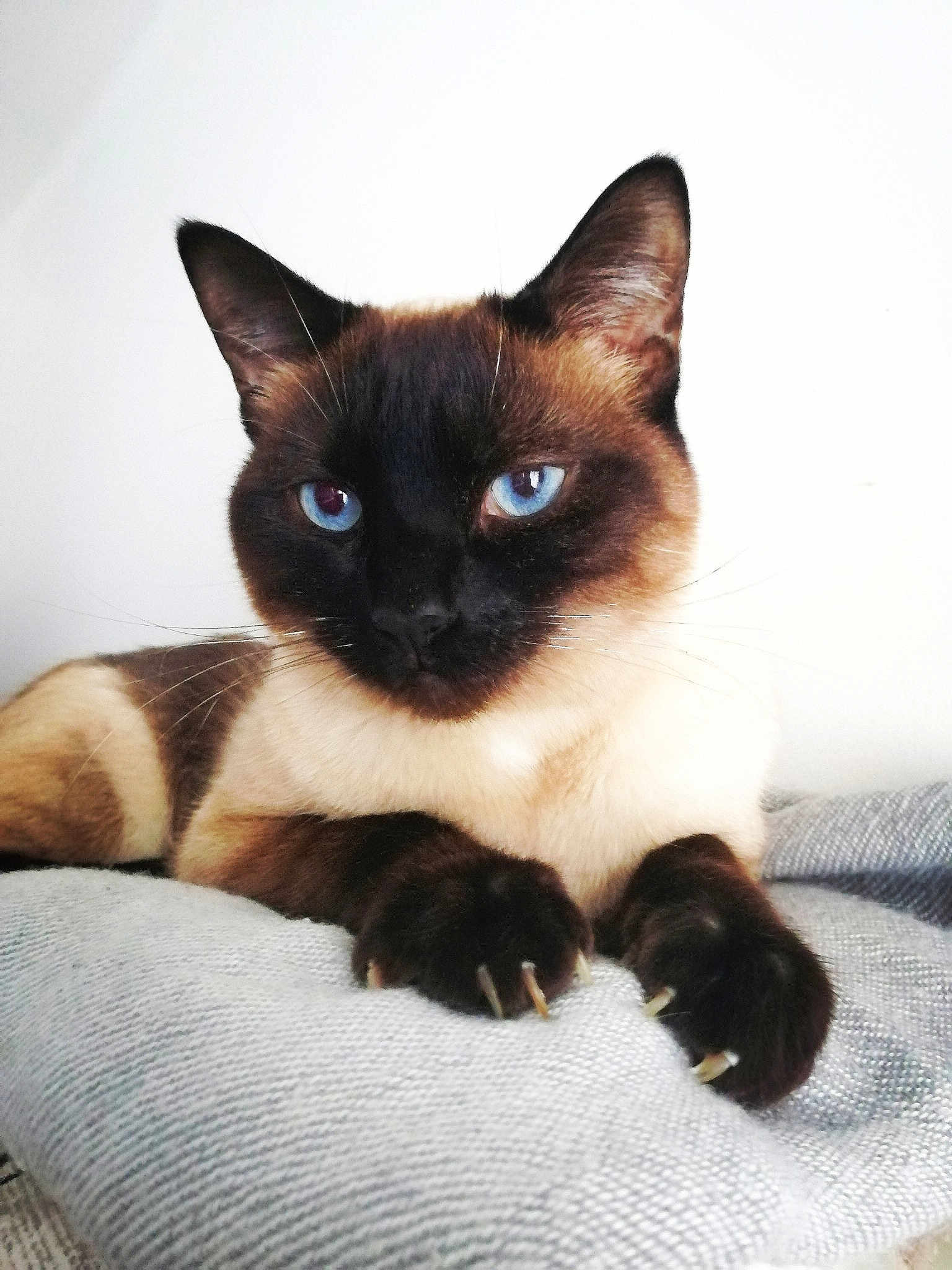 Romeo