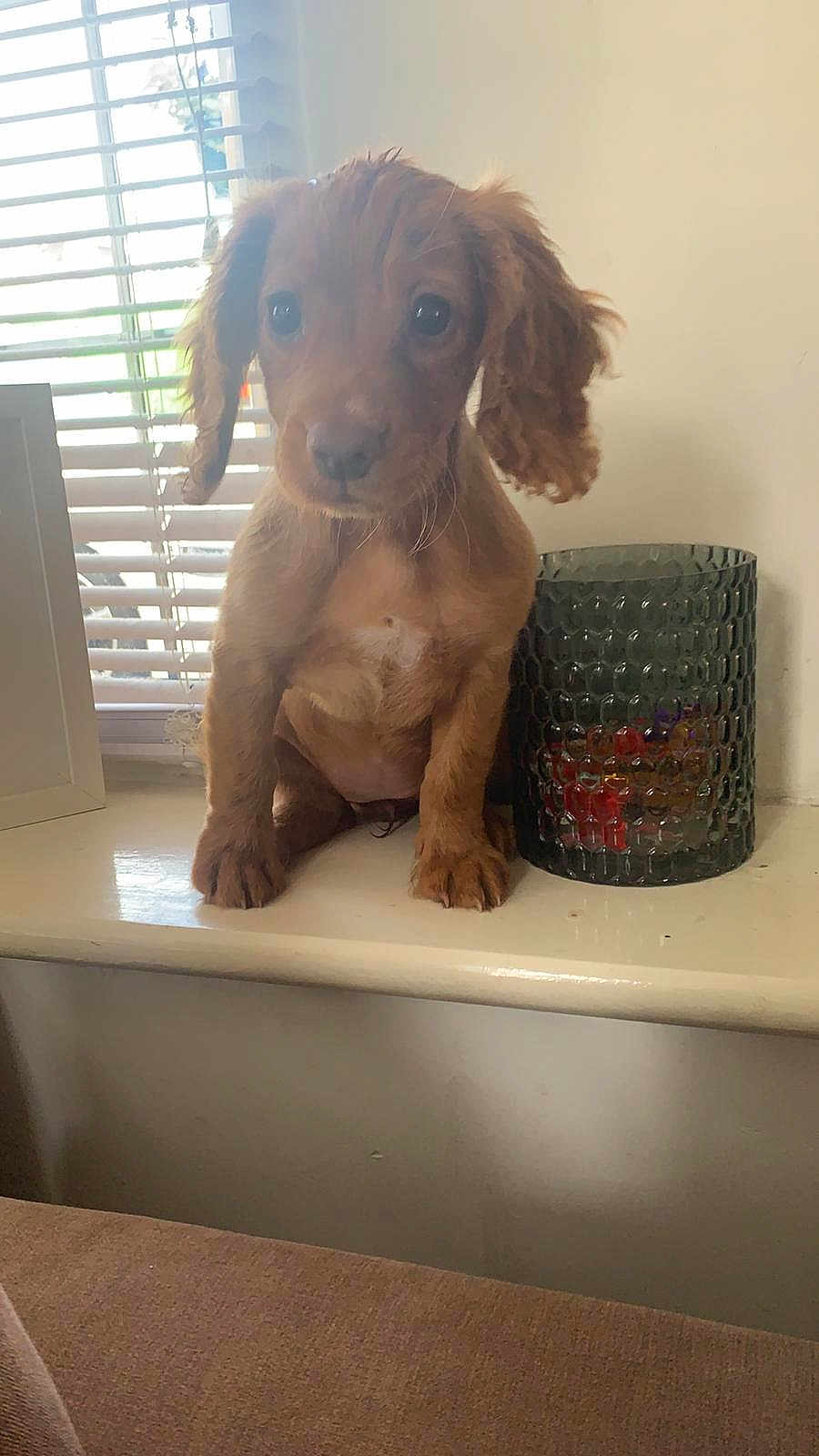 Tilly