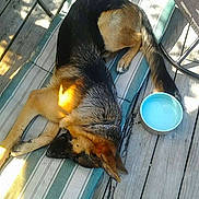 Maximus Thor is registered to the contest to win money with this photo: