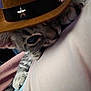 Dusty joined the competition — help win amazing prizes! kitten, cat, cowboy_hat, paw, close_up, curious, soft_surface, indoor, pet, animal, cute, feline, fur, whiskers, claws, playful, resting, young_cat, domestic_cat, cozy