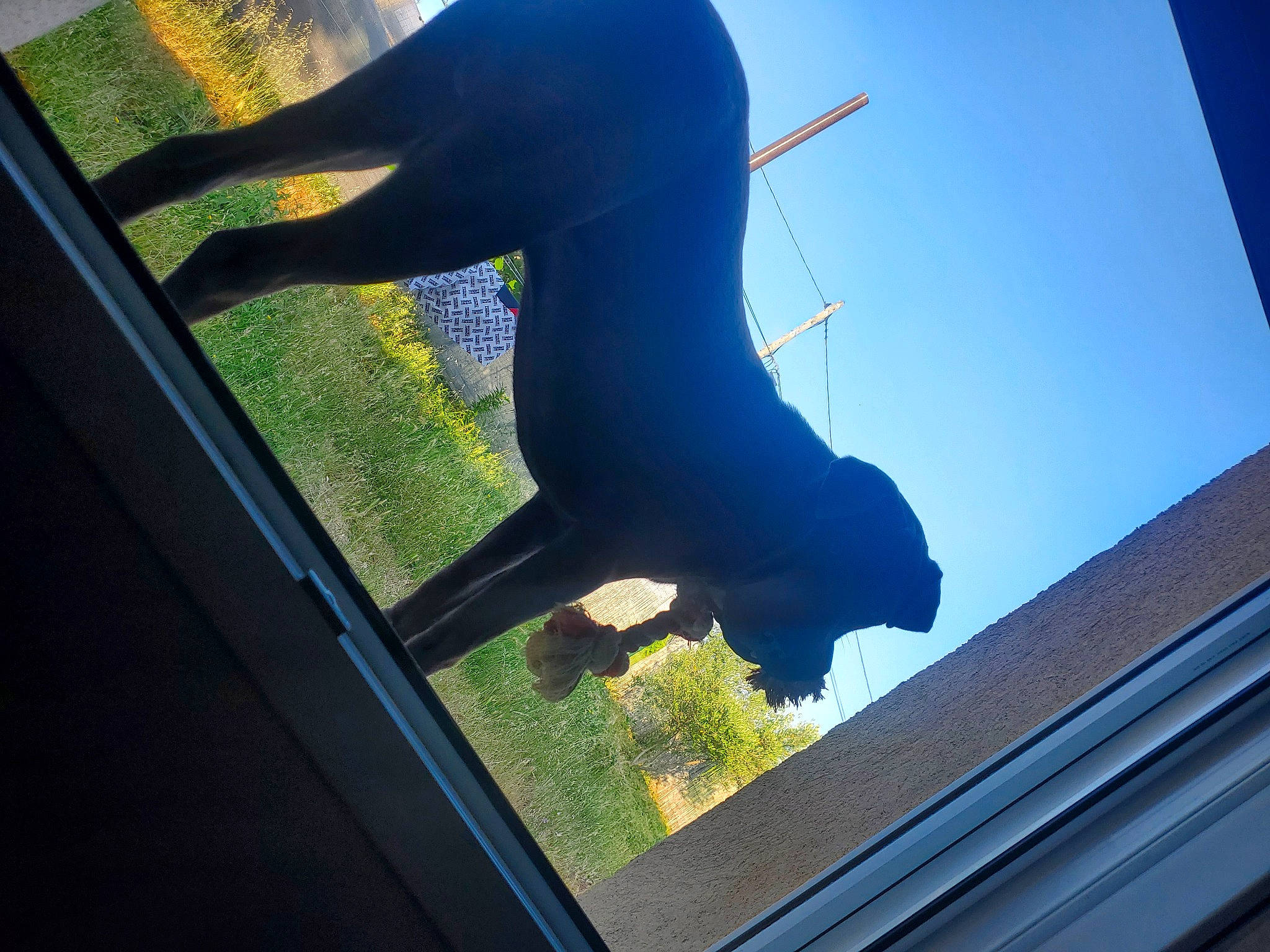 Rox participe au concours pour gagner de l'argent avec cette photo : automotive_exterior, azure, backlighting, display_device, electric_blue, gadget, gesture, glass, grass, human_leg, plant, reflection, shadow, sky, stairs, technology, tints_and_shades, vehicle_door, windshield, wing