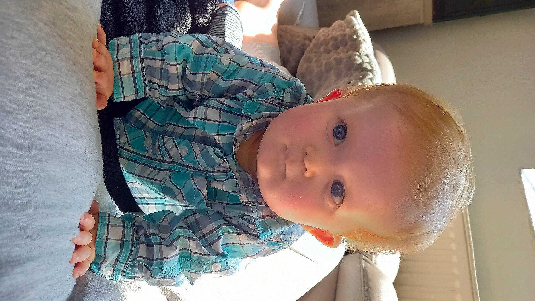 James a rejoint le concours — aidez-le/la à gagner de superbes lots ! baby, baby_products, baby_toddler_clothing, cheek, child, comfort, happy, head, human_body, joint, lip, nose, pattern, person, plaid, sitting, smile, tartan, toddler, tree