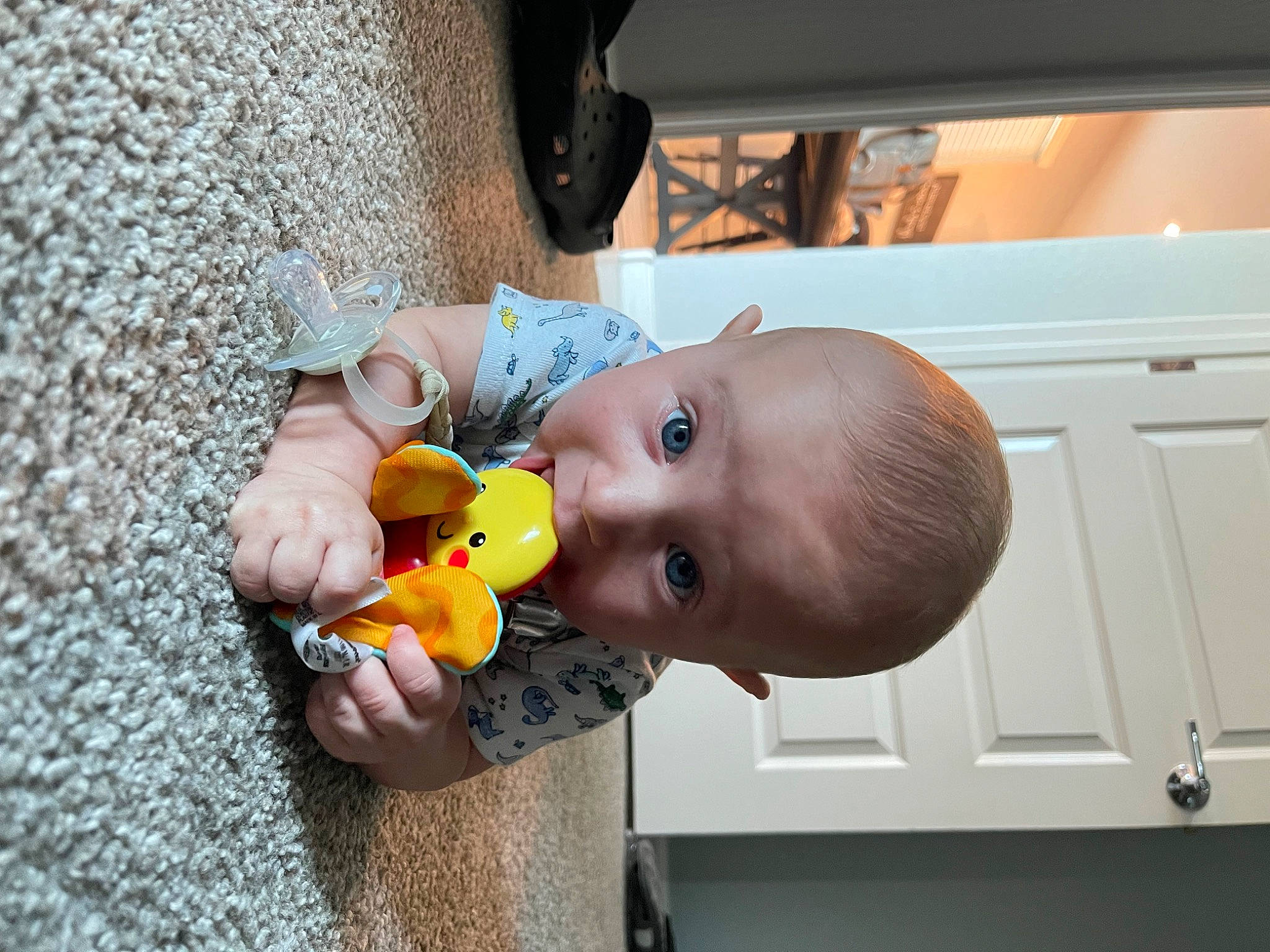 Mylo joined the competition — help win amazing prizes! baby, baby_products, baby_toys, child, drawer, flooring, fun, happy, leisure, musical_instrument, nail, nose, person, play, sitting, stuffed_toy, toddler, toy, vacation, wood