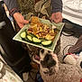 dog, person, food, plate, cucumber, granola, fruit, fork, carpet, bed, suitcase, clothing, indoor, hand, paw, waiting, curly_fur, patterned_skirt, tongue, anticipation