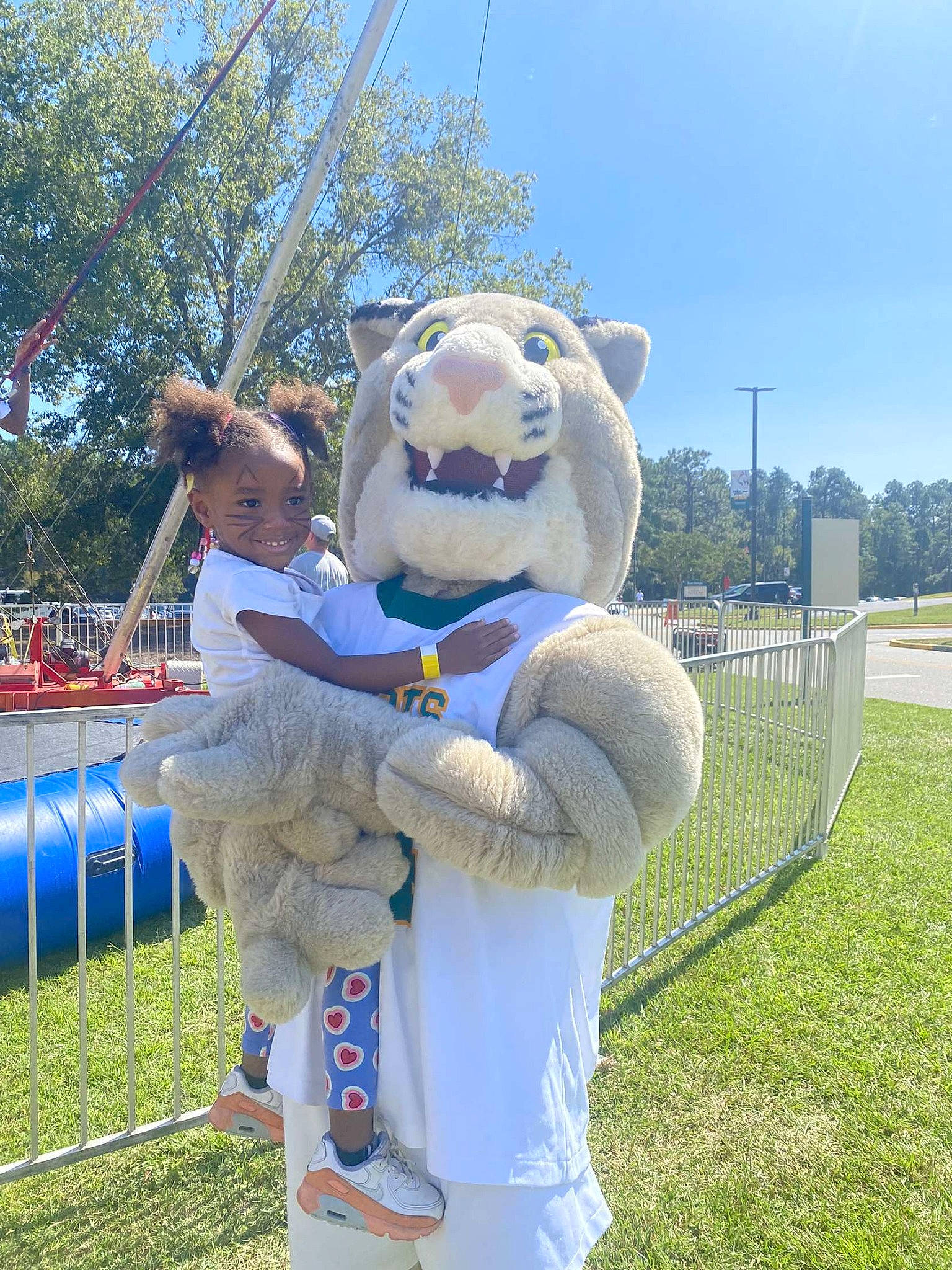 Allilla joined the competition — help win amazing prizes! fence, fun, fur, grass, happy, hat, leisure, mascot, person, plant, pole, recreation, sky, tree