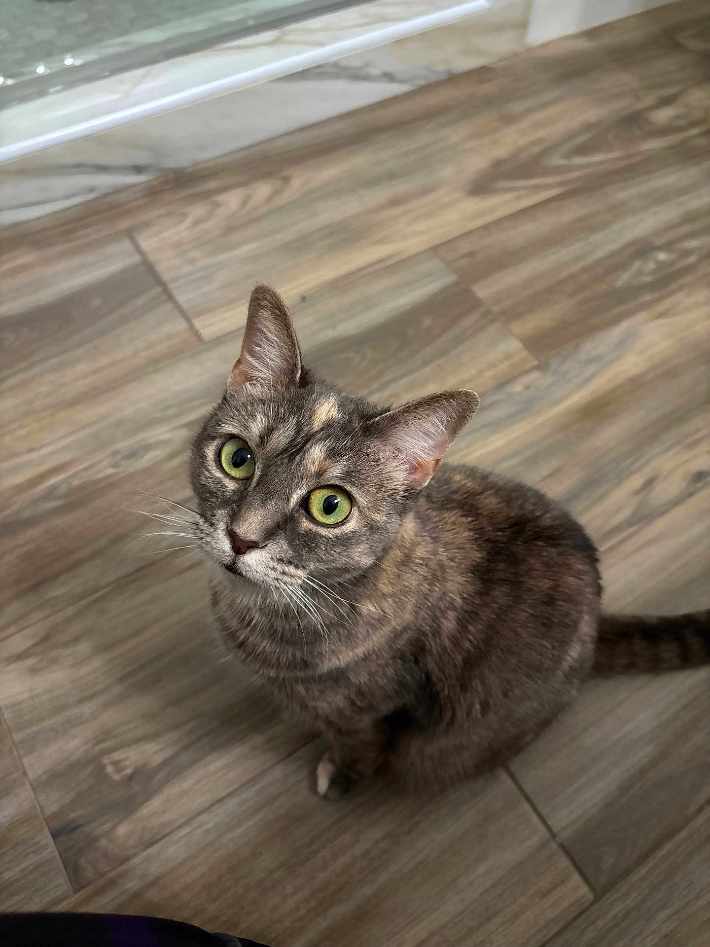 Darcy