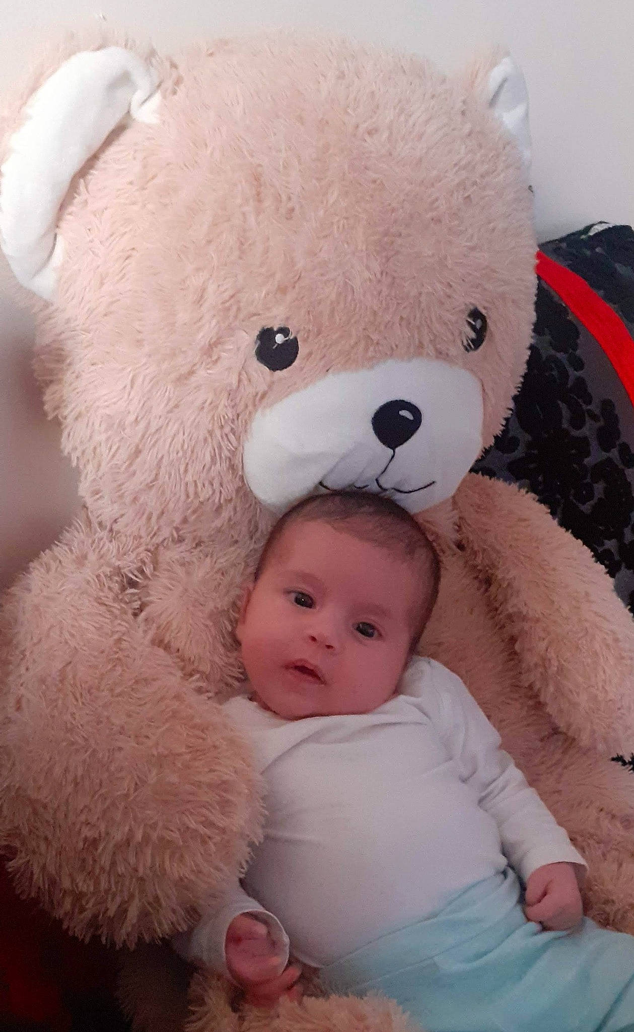 Lina participe au concours pour gagner de l'argent avec cette photo : baby, baby_toddler_clothing, cheek, child, comfort, ear, fur, happy, head, nose, organ, person, pink, plush, skin, snout, stuffed_toy, teddy_bear, toddler, toy