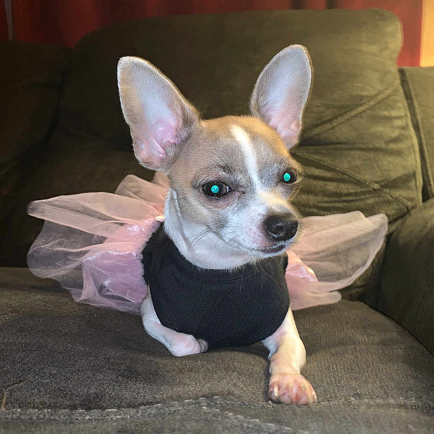 Princess