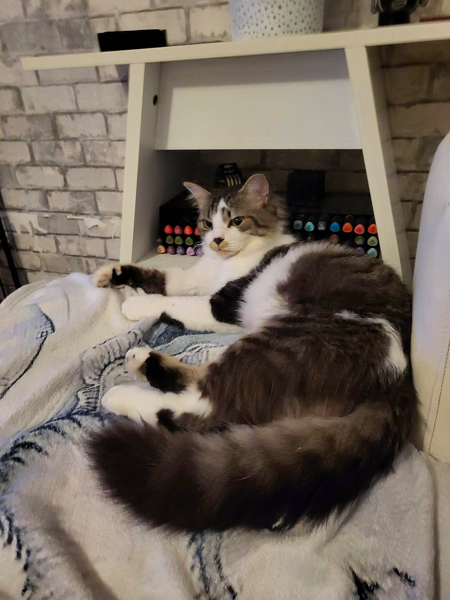 Tigrou