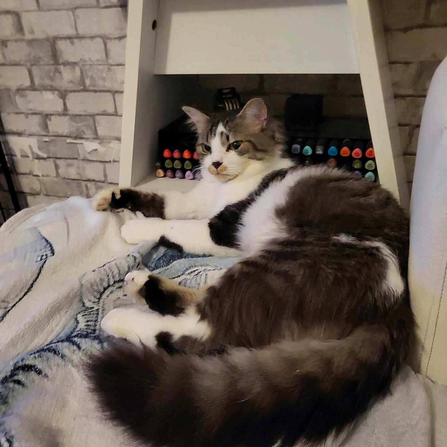 Tigrou