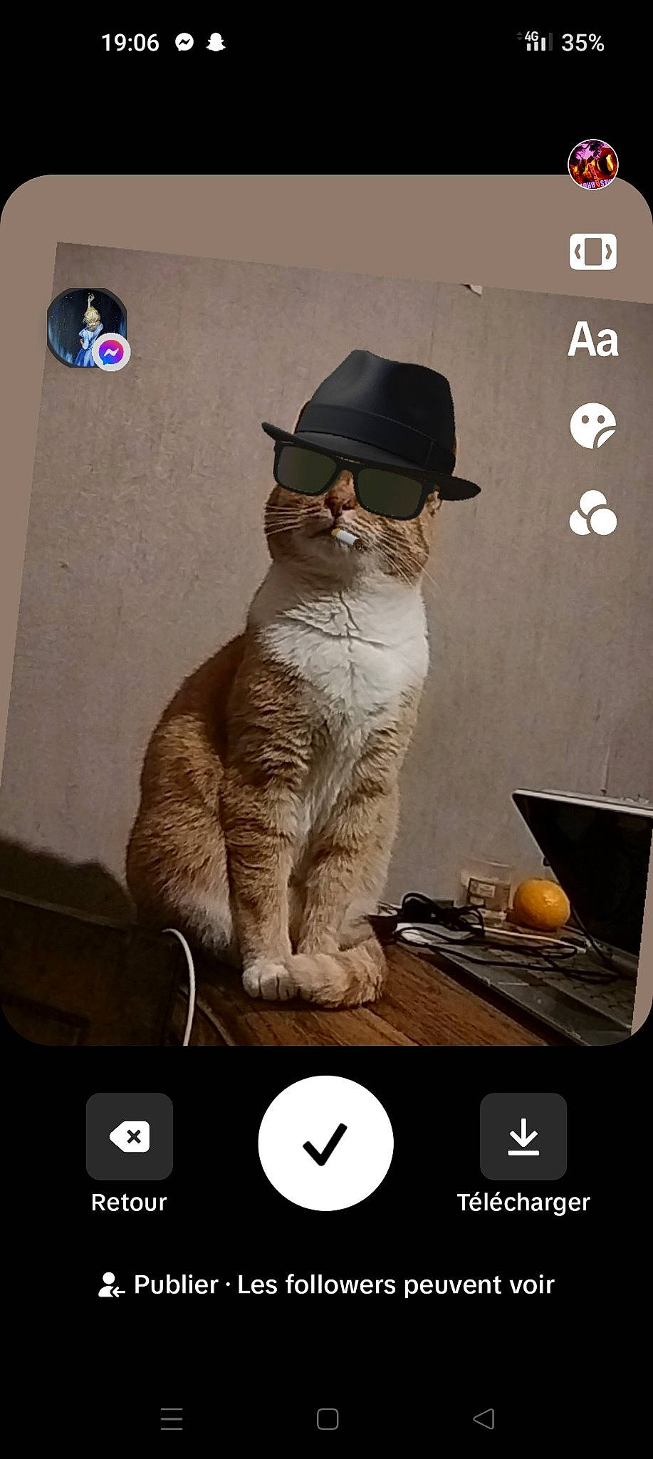 Nami participe au concours pour gagner de l'argent avec cette photo : art, carnivore, cat, communication_device, costume_hat, display_device, eyewear, fedora, felidae, font, fur, gadget, glasses, hat, photo_caption, small_to_medium_sized_cats, sun_hat, tail, whiskers, white