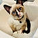 Theo