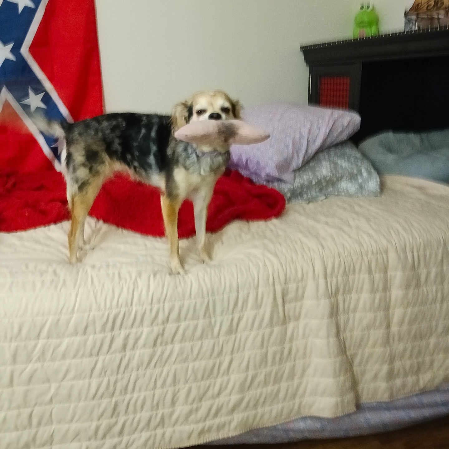 My Lady