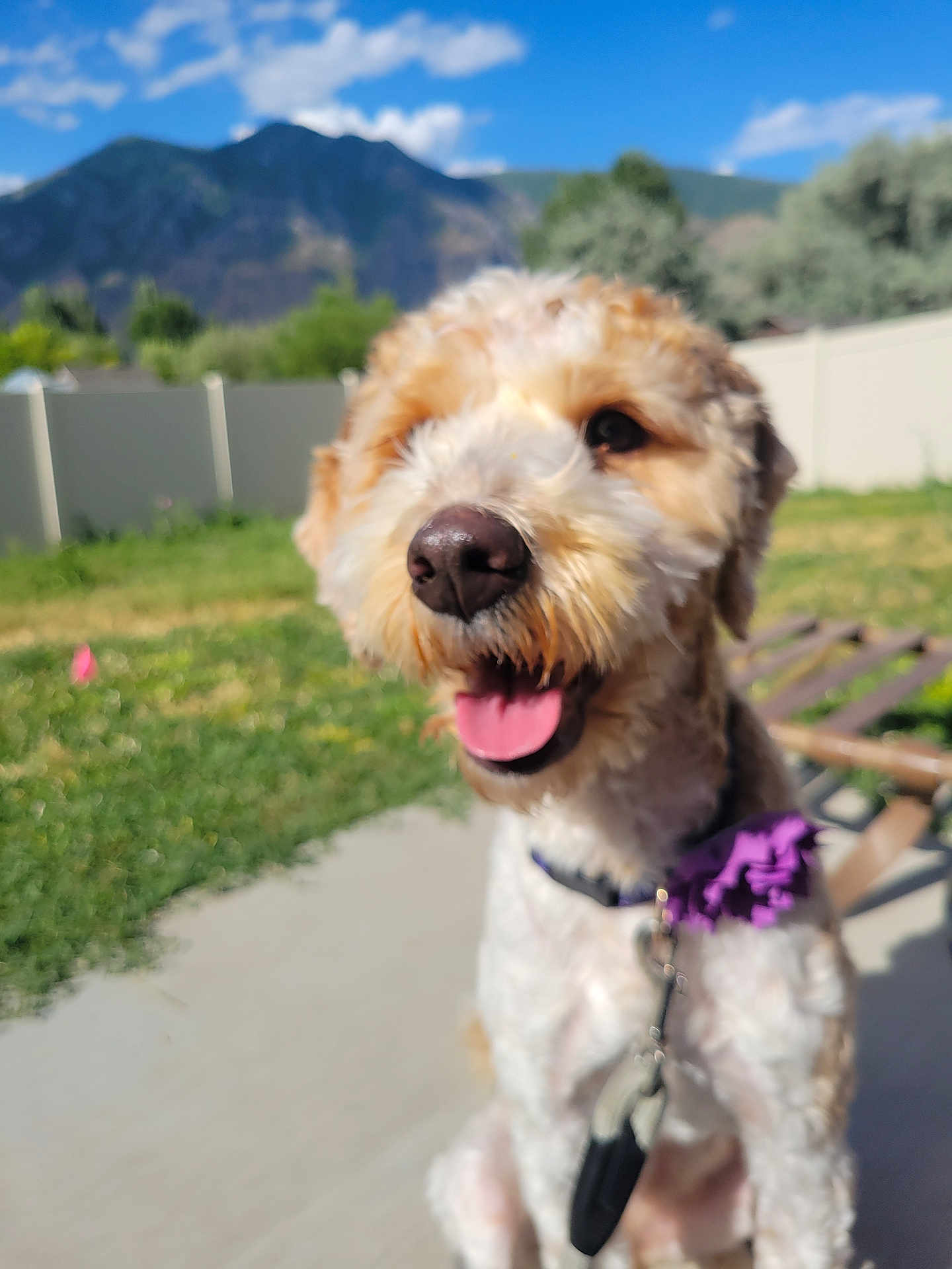 Rosie