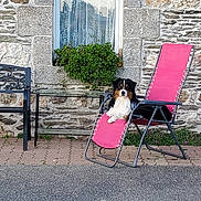 Sam a rejoint le concours — aidez-le/la à gagner de superbes lots ! art, brick, building, chair, facade, flooring, furniture, grass, house, leisure, outdoor_furniture, plant, public_space, road_surface, sidewalk, sitting, table, tints_and_shades, tree, window