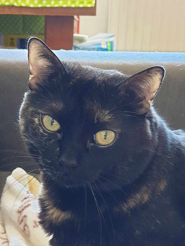 Hermione