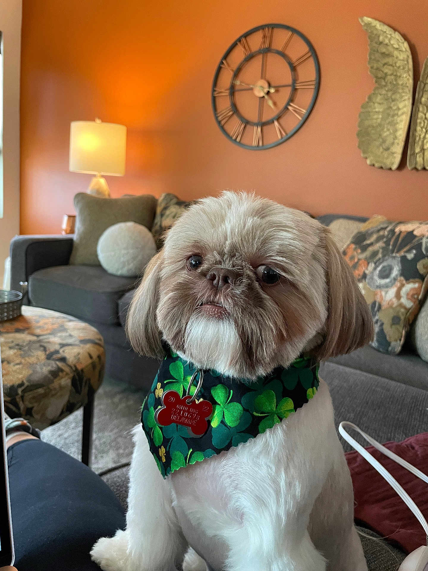 Louie