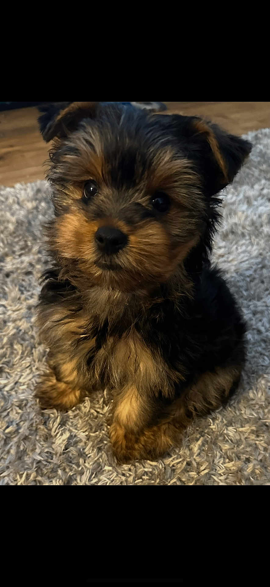 Winston