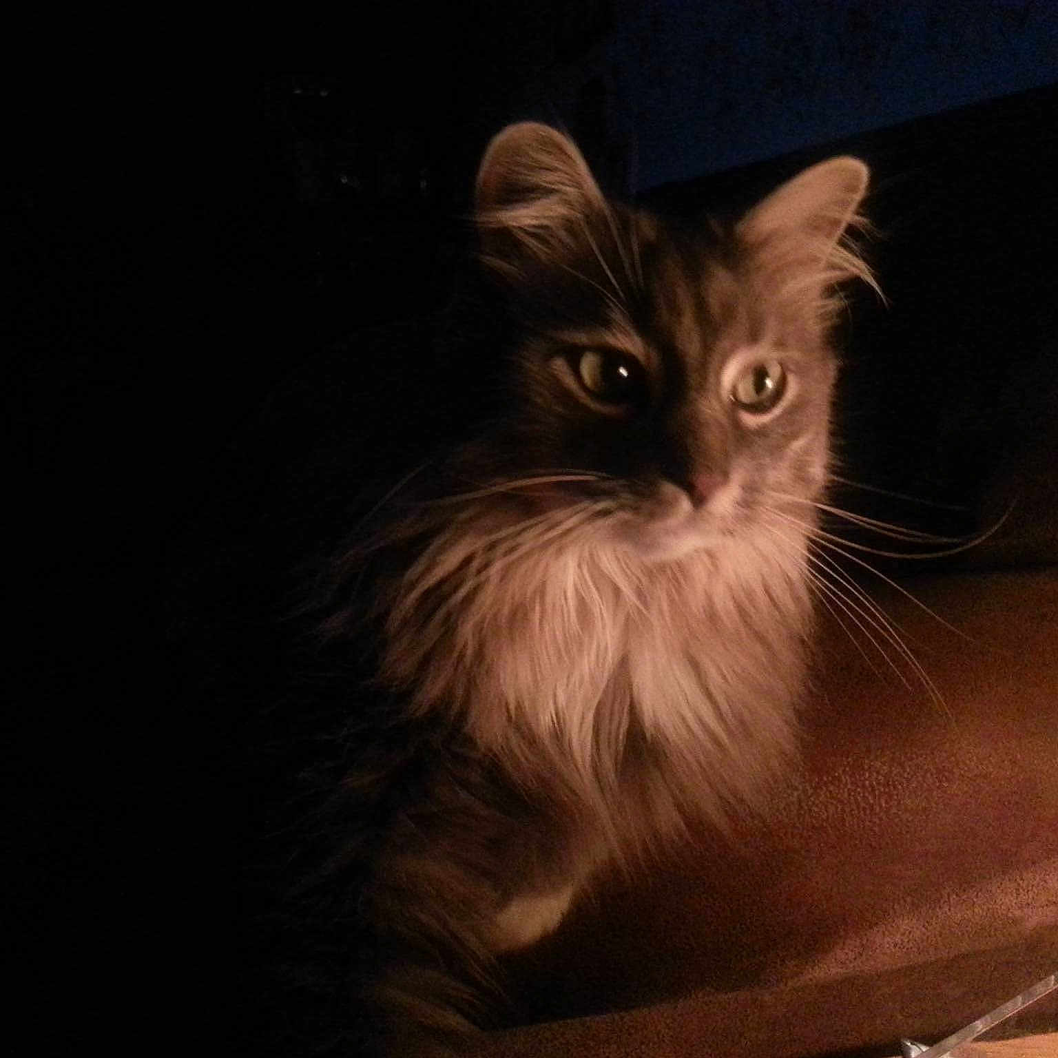 Simon is registered to the contest to win money with this photo: