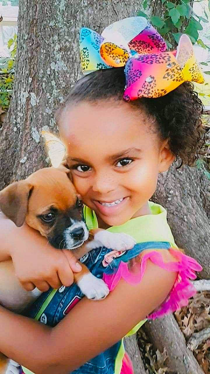 Giavonna joined the competition — help win amazing prizes! canidae, carnivore, child, companion_dog, dog, dog_breed, ear, fawn, hair_accessory, happy, joy, person, play, puppy, puppy_love, toddler