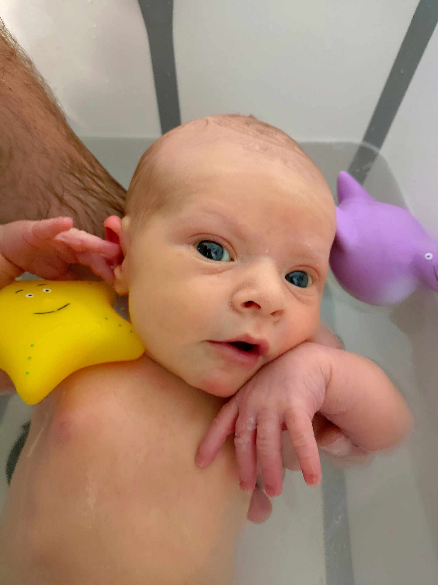 Adryan participe au concours pour gagner de l'argent avec cette photo : baby, infant, bath, water, toy, yellow_star, purple_dolphin, hand, arm, skin, face, eyes, mouth, person, child, bathroom, playful, cute, floating, support