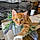 Tigger