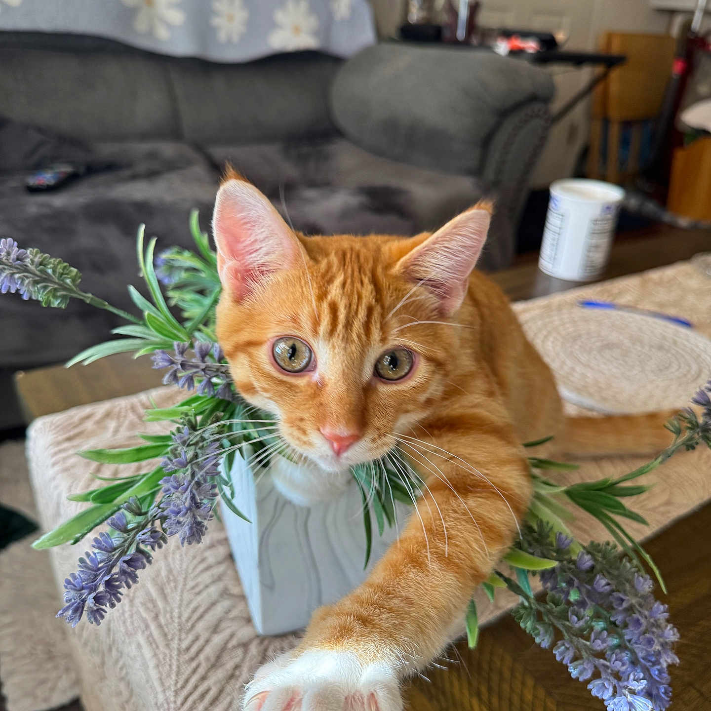 Tigger