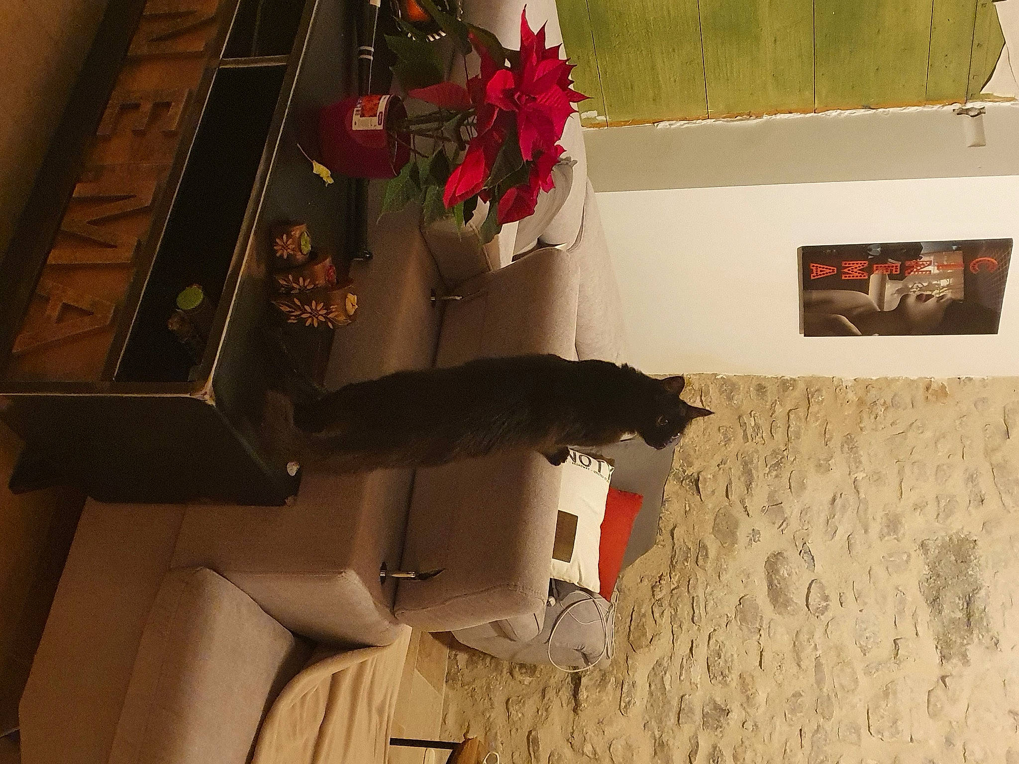 Misty participe au concours pour gagner de l'argent avec cette photo : art, brown, carmine, door, facade, flooring, floral_design, flower, flower_arranging, houseplant, petal, plant, red, room, shadow, tints_and_shades, tree, visual_arts, window, wood