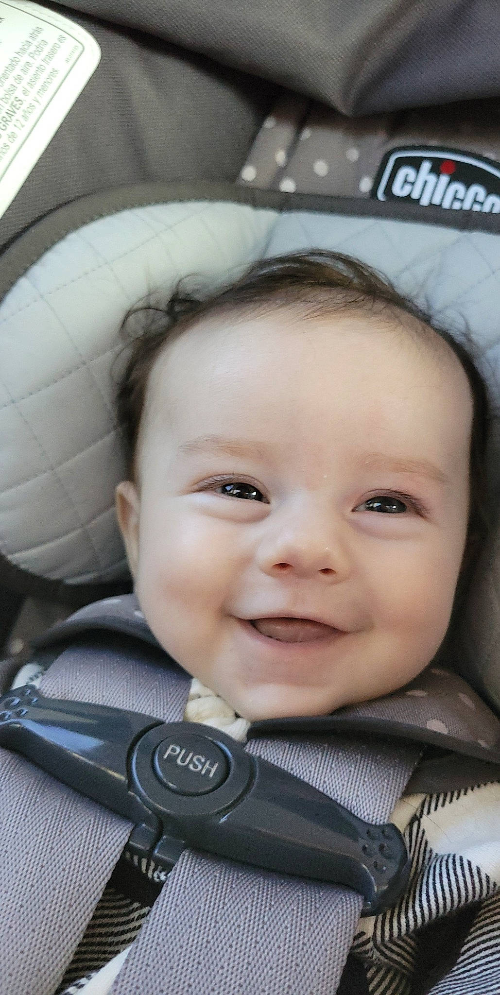 Ariah joined the competition — help win amazing prizes! baby, baby_carriage, cheek, child, comfort, eye, eyebrow, face, flash_photography, happy, head, iris, joy, nose, organ, person, photograph, product, skin, smile