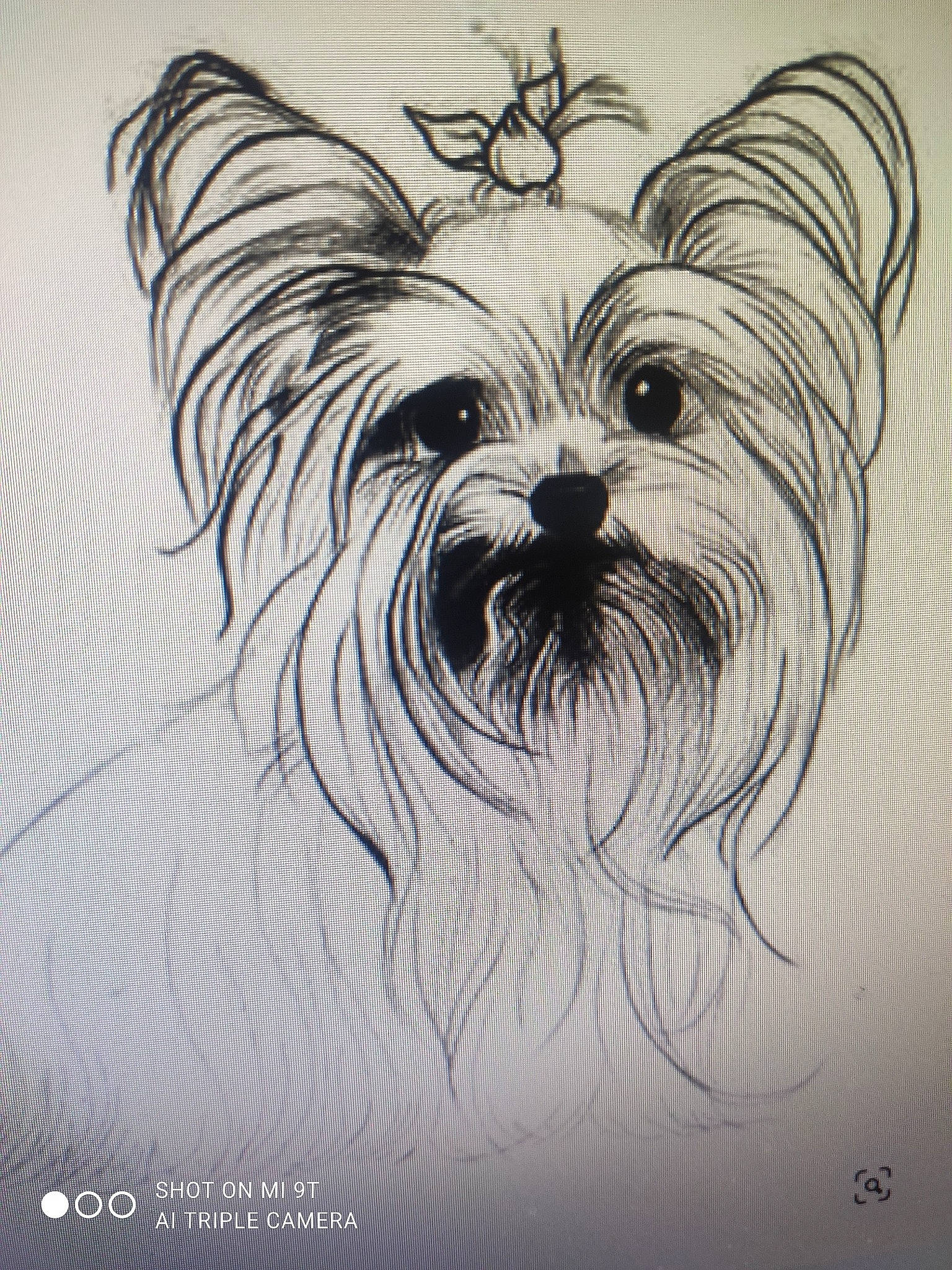 Toto a rejoint le concours — aidez-le/la à gagner de superbes lots ! art, canidae, carnivore, cartoon, companion_dog, dog, dog_breed, drawing, felidae, fictional_character, font, illustration, monochrome, monochrome_photography, painting, snout, sporting_group, toy_dog, visual_arts, whiskers